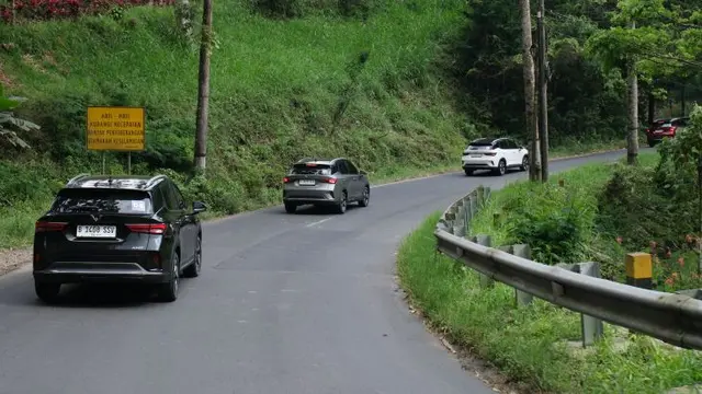 Wuling Alvez
