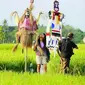 Desa Wisata Candran, Kebonagung, Kabupaten Bantul, Daerah Istimewa Yogyakarta, menggelar Festival Memedi Sawah 2015, mulai 30 Oktober hingga