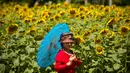 Seorang wanita menggunakn payung saat ia berdiri di depan bunga matahari yang mekar di Olympic Forest Park di Beijing, China (10/7). (AP Photo/Mark Schiefelbein)