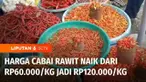 Menjelang natal dan tahun baru, harga sejumlah bahan pokok seperti cabai rawit melonjak naik hingga 100 persen. Walaupun terjadi kenaikan harga, Wakil Menteri Perdagangan memastikan seluruh harga bahan pokok akan tetap stabil dan pasokannya mencukupi...