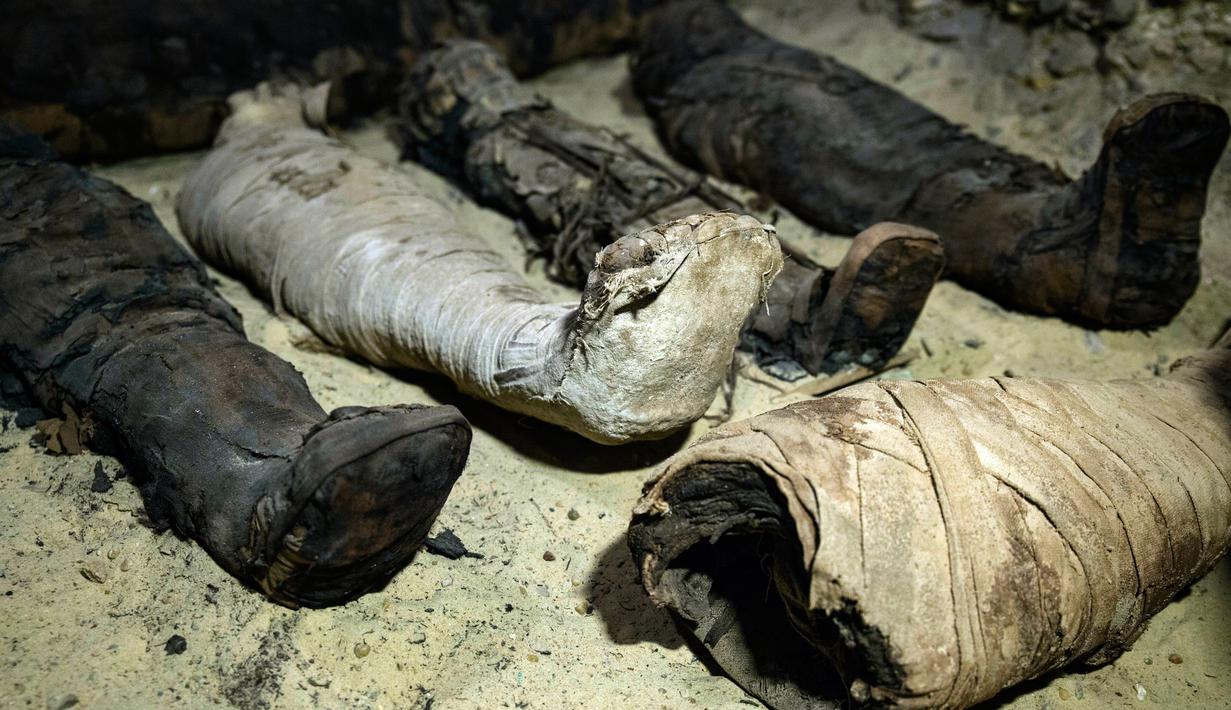 Mumi terbungkus kain linen ditemukan di ruang pemakaman di Provinsi Minya, Mesir, Sabtu (2/2). Kementerian Barang Antik Mesir mengumumkan baru menemukan tiga makam kuno dengan lebih dari 40 mumi yang terpelihara dengan baik. (AP Photo/Roger Anis)