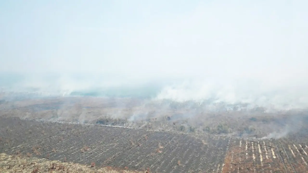 kebakaran lahan diduga di areal perusahaan yang menjadi biang kabut asap di Riau.