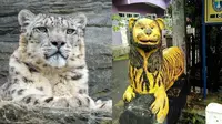 Ilustrasi macan lucu (sumber: pexel dan Facebook/Mang Iki)
