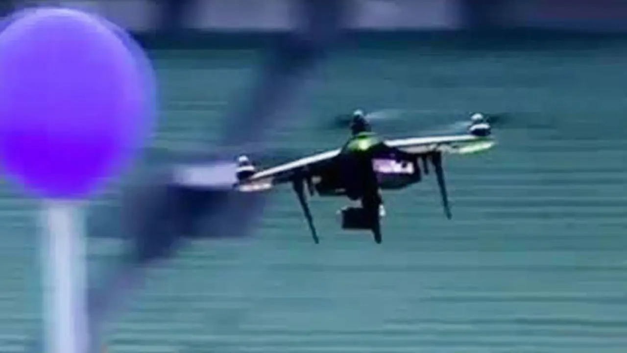 Segmen 7: Lomba Kendalikan Drone hingga Peragaan Busana Anjing