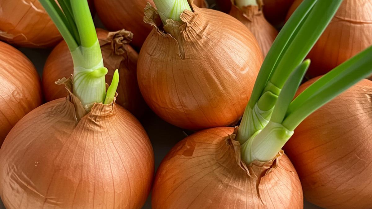 Amankah Makan Bawang yang Sudah Bertunas? Ketahui Cara Mengolahnya