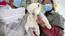 Dokter hewan memeriksa salah satu anak singa putih kembar empat di Taman Safari Hutan Nantong di Kota Nantong, China, Senin (21/12/2020). Singa putih bukan satwa albino atau memiliki kekurangan zat warna kulit tapi merupakan hasil mutasi langka yang terjadi pada singa kruger.  (Photo by STR / AFP)