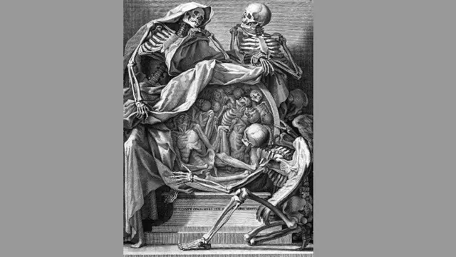 Three Skeletons