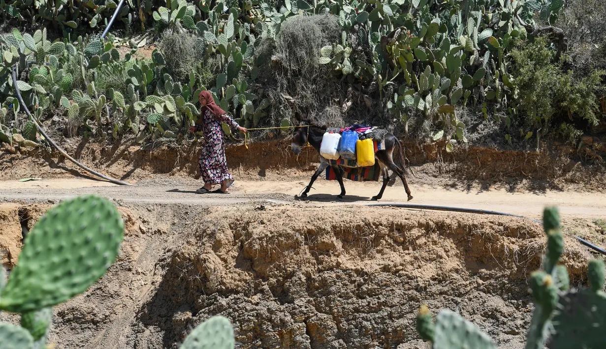 <p>Namun, sumur tersebut ditutup pada tahun 2018 karena tagihan listrik yang belum dibayar - masalah umum di antara asosiasi agraria. (FETHI BELAID / AFP)</p>