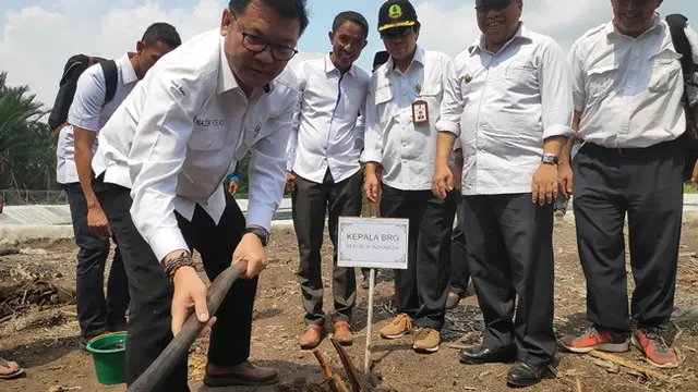 Kepala BRG Nazir Foead menaman sagu di Desa Sungai Tohor, Kepulauan Meranti.