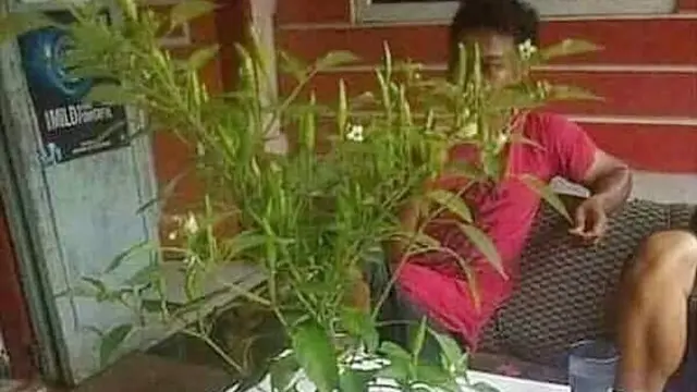 8 Kelakuan Kocak Orang Kelewat Santai, Bikin Tak Habis Pikir