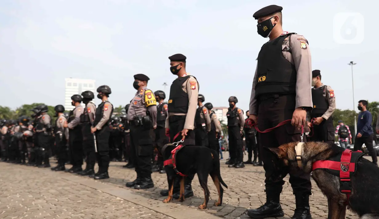 Pasukan polisi membawa anjing unit K9 untuk mengikuti apel gabungan gelar pasukan di Silang Monas, Jakarta, Senin (11/4/2022). Polda Metro Jaya mengerahkan sebanyak 5.620 pasukan gabungan Polri-TNI dalam rangka pengamanan aksi unjuk rasa BEM SI. (Liputan6.com/Herman Zakharia)