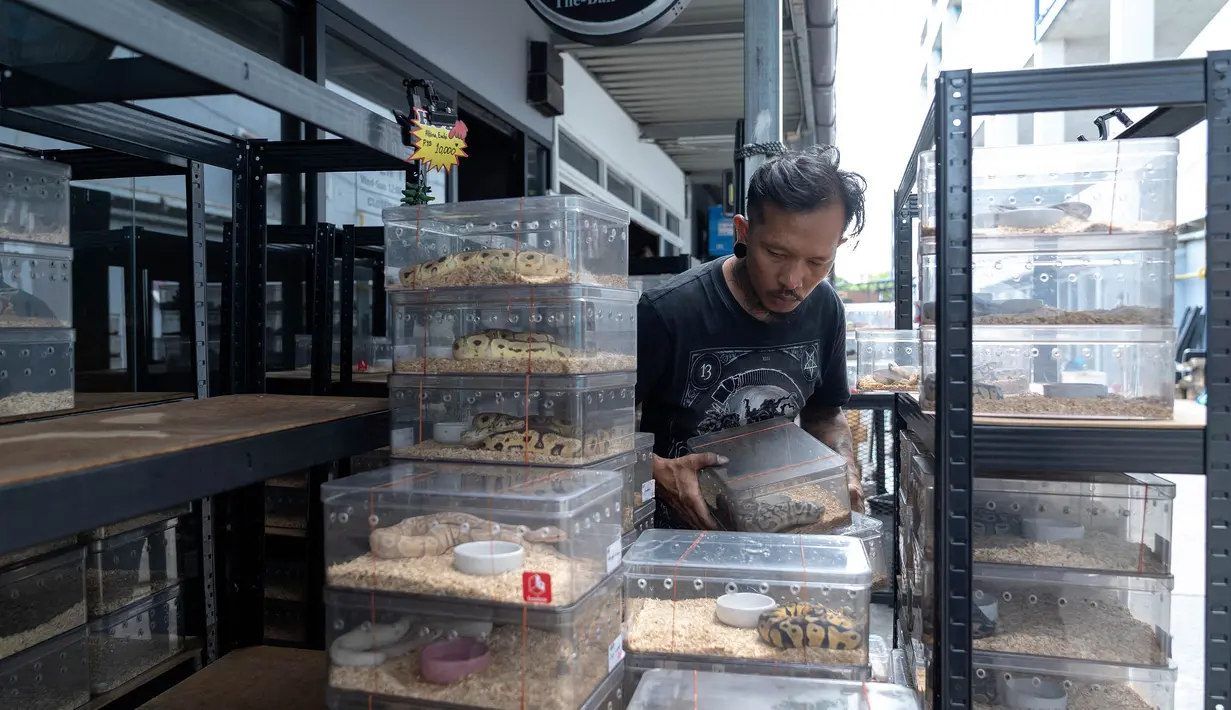 Chatuchak merupakan pasar akhir pekan terbesar dan paling terkenal di Thailand, hampir 200.000 wisatawan berkunjung setiap hari Sabtu dan Minggu. (Chanakarn Laosarakham/AFP)