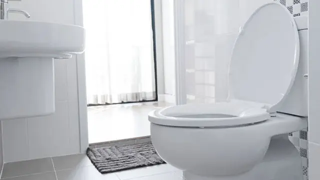 Ilustrasi toilet