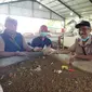 Proses Budidaya Magot di Bank Sampah DLH Banyuwangi (Hermawan Arifianto/Liputan6.com)