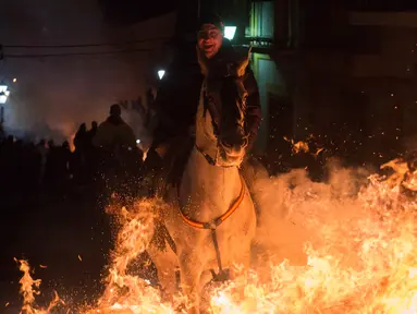 Penunggang kuda melompat di atas api unggun saat Festival Luminarias, Spanyol, Senin (16/1). Setiap bulan Januari, umat Nasrani di Spanyol merayakan Hari Santo Antonius yang dikenal sebagai santo pelindung binatang. (AFP Photo/ PIERRE-PHILIPPE Marcou)