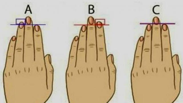 Yuk Coba Panjang Jari Tangan Ungkap Kepribadianmu Citizen6 Liputan6 Com