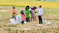 Presiden Joko Widodo atau Jokowi mendatangi para petani di Kabupaten Bandung Jawa Barat, Senin (6/3/2023). (Dok. Biro Pers Sekretariat Presiden)