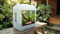 Cara Membuat Akuarium Outdoor dari Jeriken Bekas, Panduan Lengkap untuk Pemula