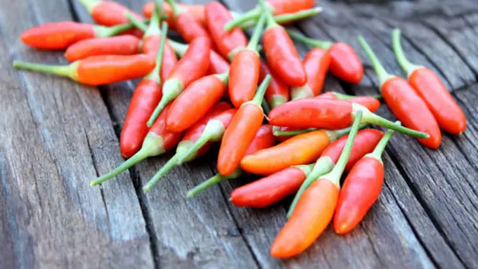 Foto: copyright by shutterstock.com