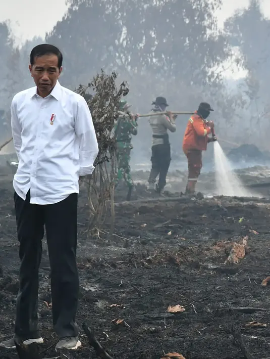 Presiden Joko Widodo atau Jokowi memeriksa kerusakan akibat kebakaran hutan dan lahan (karhutla) di Pekanbaru, Riau, Selasa (17/9/2019). Jokowi menegaskan pentingnya menjaga komitmen agar karhutla tak terjadi lagi. (Handout/Indonesian Presidential Palace/AFP)