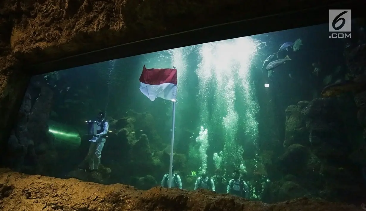 Aaliyah Massaid (bawah tengah) saat menjalani latihan menjadi Paskibra Jelang HUT ke-74 RI di Aquarium Utama Sea World, Ancol Taman Impian, Jakarta (11/8/2019). Menjadi Paskibra di dalam air, bagi Aaliyah merupakan satu kebanggaan dan membangkitkan semangat nasionalisme. (Fimela.com/Bambang E. Ros)