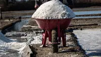 Petani membawa garam dengan gerobak dorong saat panen di Sidoarjo, 16 September 2019. Menurut petani, meningkatnya produksi garam saat kemarau dari lima ton menjadi delapan ton per minggu, mengakibatkan harga garam di tingkat petani tradisional untuk kualitas nomor satu menurun. (Juni Kriswanto/AFP)