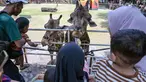 Pengunjung memberi makan jerapah di Kebun Binatang Surabaya, Jawa Timur, selama libur sekolah sekaligus jelang Natal dan Tahun Baru pada Minggu 21 Desember 2025. Memasuki libur sekolah dan jelang perayaan Natal 2025 serta Tahun Baru 2026, Kebun Binatang Surabaya (KBS) kembali menjadi destinasi favorit keluarga. (JUNI KRISWANTO/AFP)