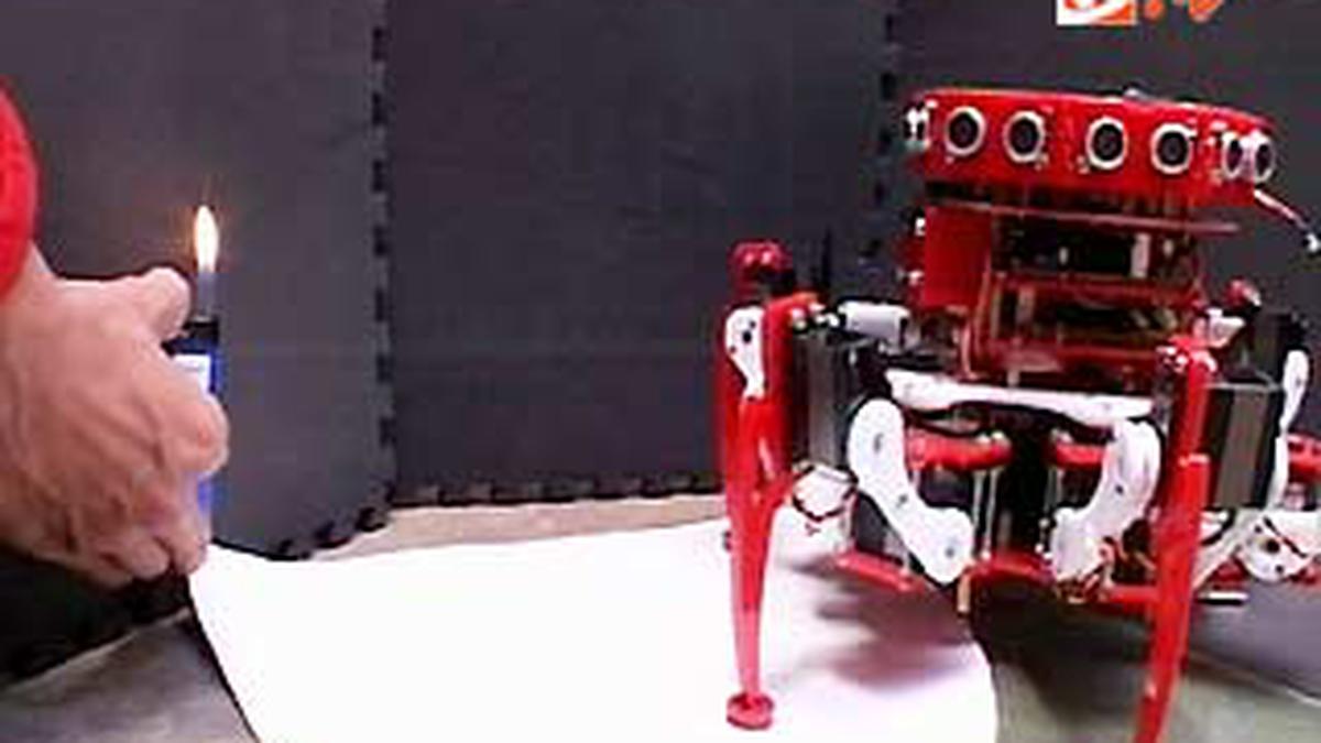 Robot Indonesia Menangi Kontes di AS - Tekno Liputan6.com