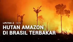 Hutan Amazon di Brasil Terbakar