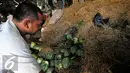 Pedagang merapihkan buah labu blewah di Pasar Induk, Kramat Jati, Sabtu, (20/6/2015).  harga buah labu blewah dari Rp. 2.500 menjadi Rp. 4.000 per kg karena permintaan meningkat. (Liputan.com/Yoppy Renato)