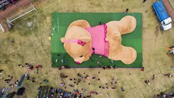 Pandangan dari udara, sebuah boneka beruang teddy (Teddy Bear) berukuran raksasa ketika di ukur panitia di Xonacatlan, Meksiko (28/4/2019). Boneka berukuran 20 meter persegi dengan berat 4 ton, masuk dalam Guinness Book of World Records. (Mario Vazquez / AFP)