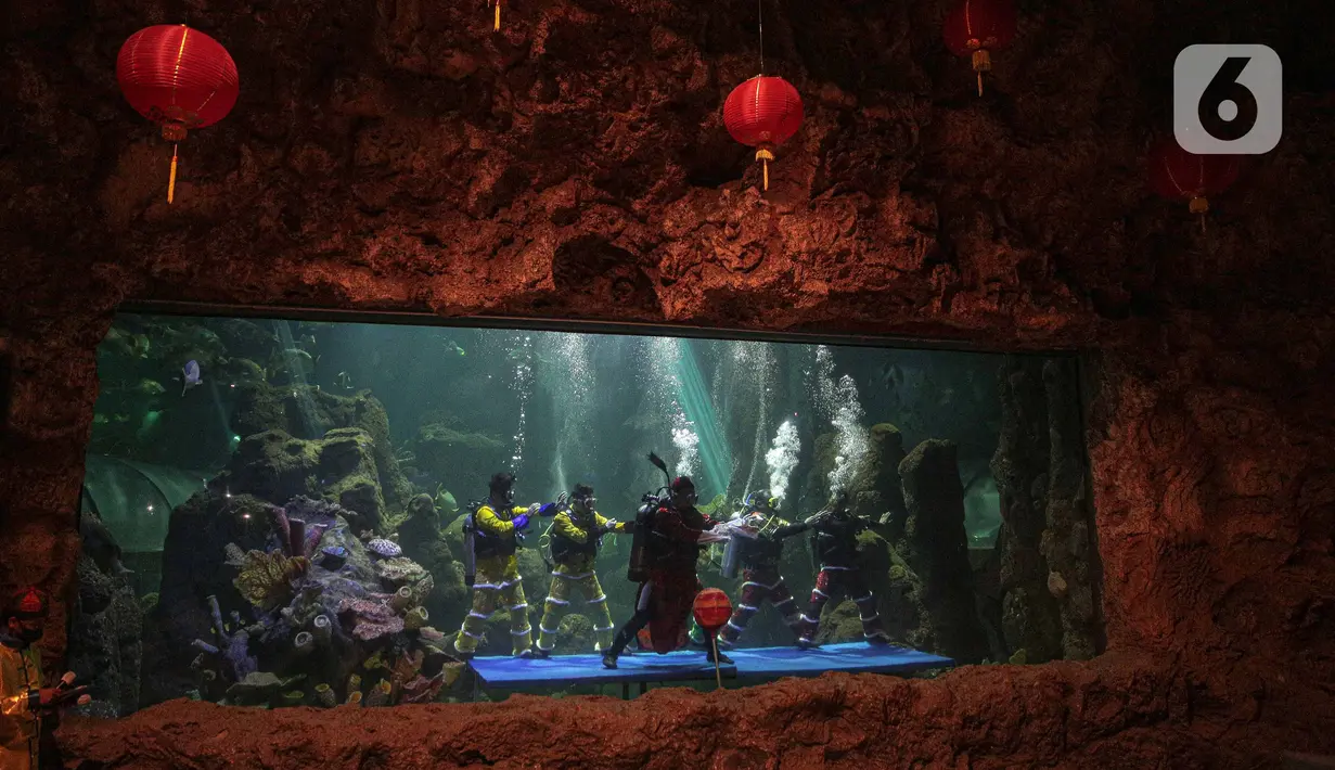Sejumlah penyelam melakukan atraksi di akuarium SeaWorld Ancol, Jakarta, Senin (24/1/2022). Atraksi barongsai dan liong digelar dalam rangka memeriahkan perayaan tahun baru Imlek 2573. (Liputan6.com/Faizal Fanani)