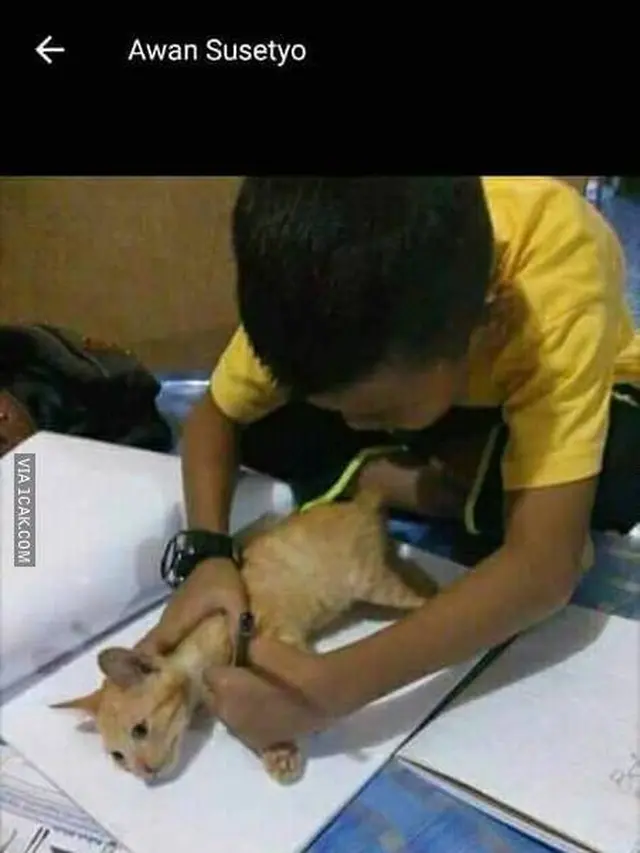 6 Momen Kompak Bocah dengan Kucing Peliharaan, Bak Anak Kembar