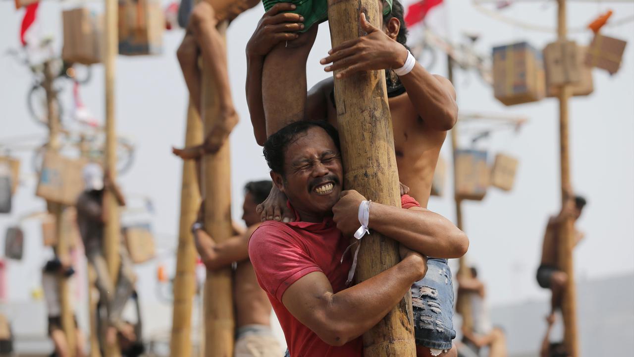 Berbagai Ekspresi Peserta Panjat Pinang Saat HUT ke-74 RI