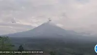 Awan Panas Guguran di Gunung Semeru (Hermawan Arifianto/Liputan6.com)