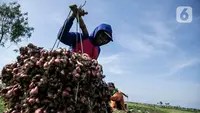 Stok Melimpah, Bawang Merah Brebes Diekspor ke Thailand