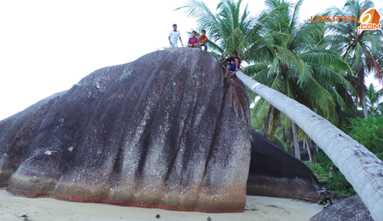 Ketinggian bongkahan batu ada yang hampir menyamai pohon kelapa yang tumbuh di sekitar bongkahan (Liputan6.com/Muhammad Ali)
