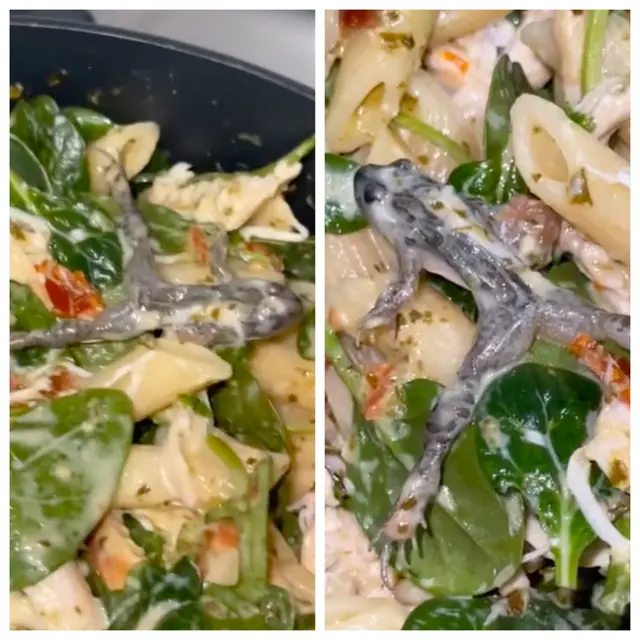 Bikin Tidak Nafsu Makan, Wanita Ini Temukan Katak Mati di Dalam Tumisan