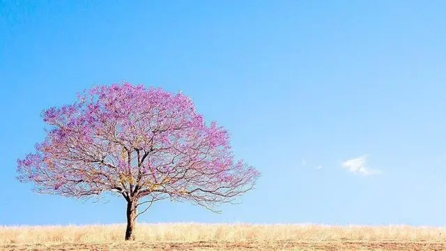 Scenic RimPhoto by source by @larissadening