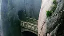 short desc