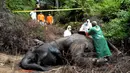 Petugas dan dokter hewan dari lembaga konservasi Aceh memeriksa gajah betina yang ditemukan mati karena keracunan di Desa Semanah Jaya, Aceh Timur, Kamis (21/11/2019). Bangkai gajah betina berusia 25 tahun itu ditemukan di sebuah perkebunan kelapa sawit pada hari ini. (CEK MAD/AFP)