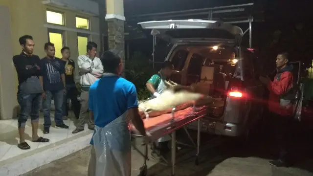 Perkelahian Maut