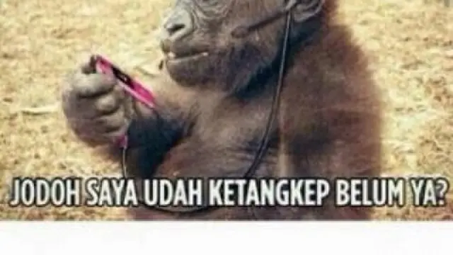Masih Jomblo, Ini 6 Meme Cari Pacar yang Kadang Bikin Senyum Sendiri
