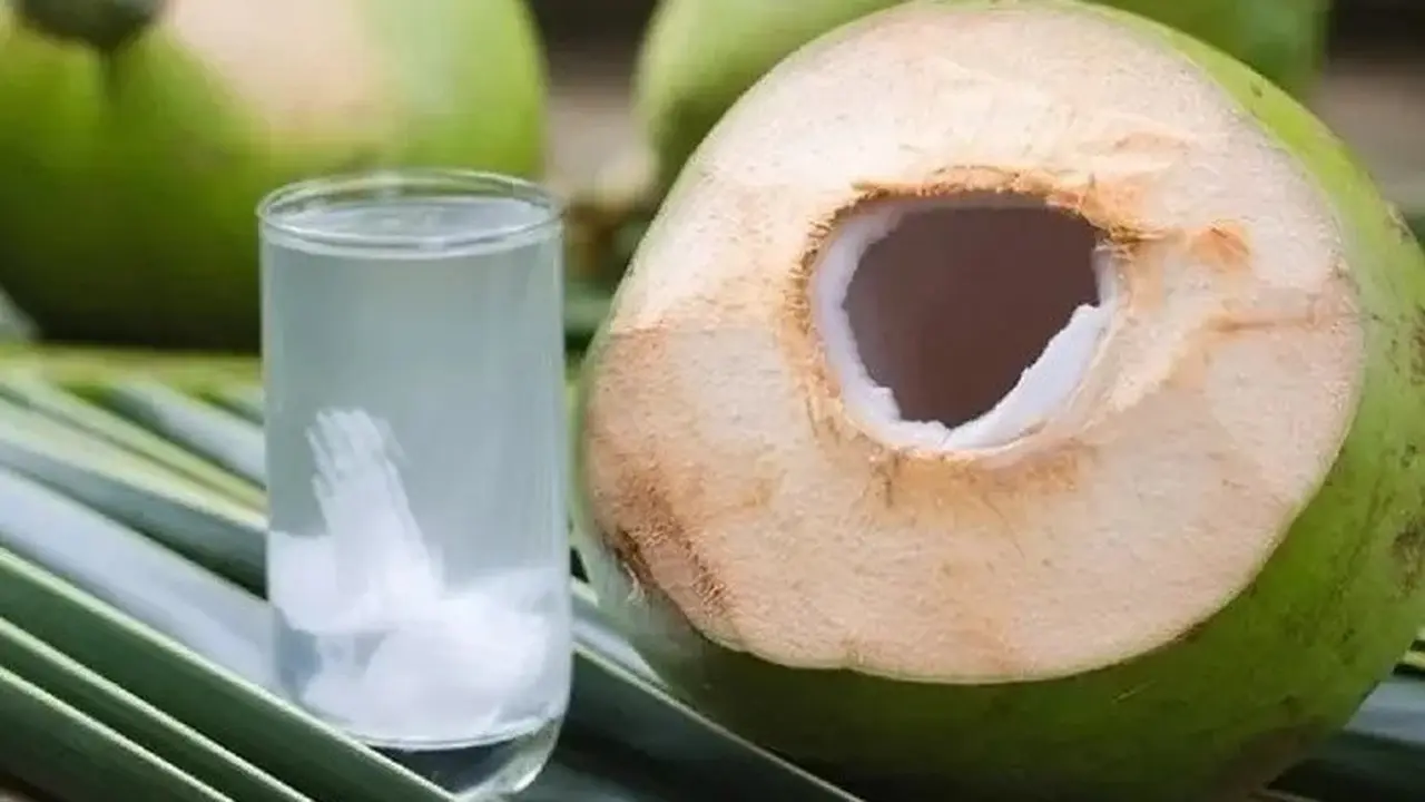 Ilustrasi Kelapa Muda (Sumber: Pixabay)