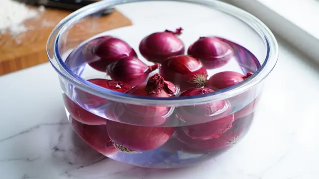 Ilustrasi Bawang Merah.