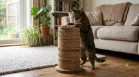 Cara Membuat Garukan Kucing DIY dari Kardus Bekas, Tutorial Mudah untuk Cat Lovers