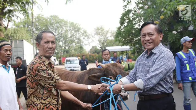 Jelang Idul Adha, SCM Menyerahkan Hewan Kurban