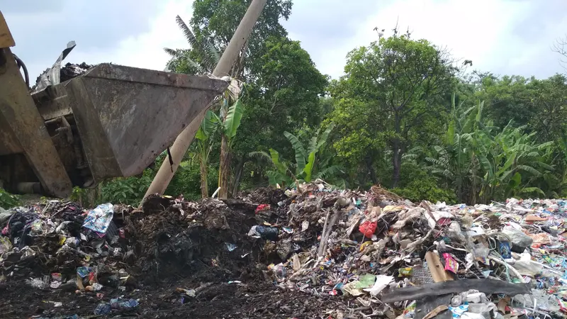 Sungai Tercemar Limbah Medis di Cirebon Mengairi Sawah Petani