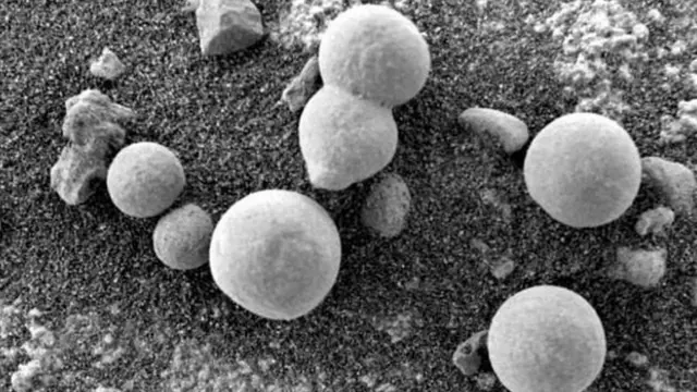 Jamur di Planet Mars