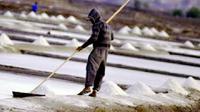 Harga garam yang tinggi semanis bulan madu justru tak bisa dirasakan sama sekali oleh petani garam di Jeneponto. (Liputan6.com/Ahmad Yusran)